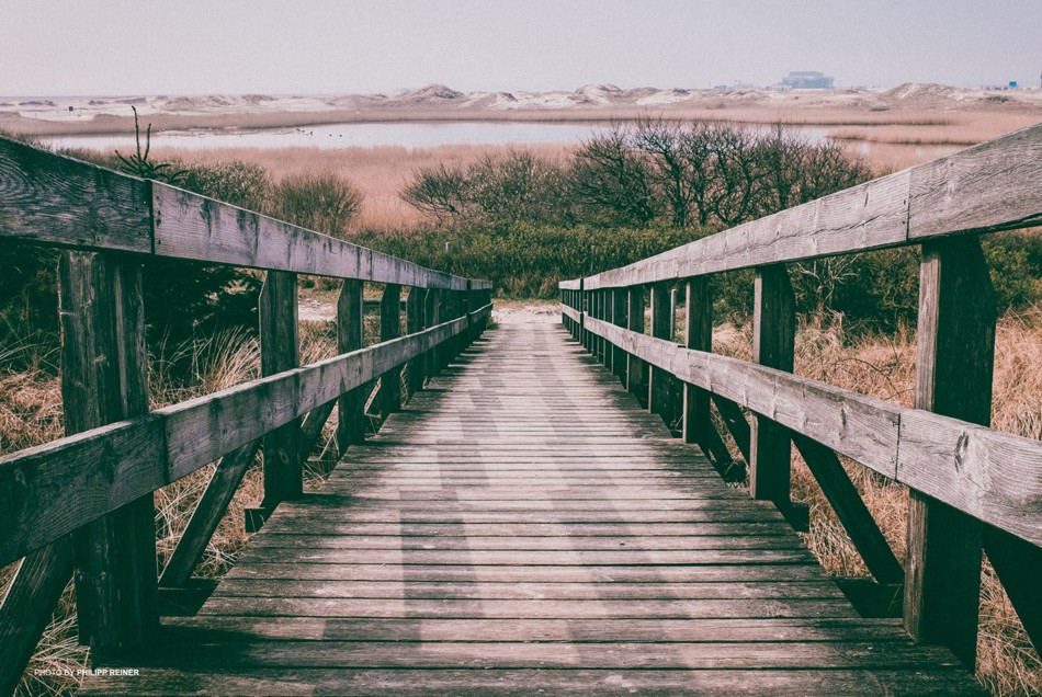 film emulation presets lightroom