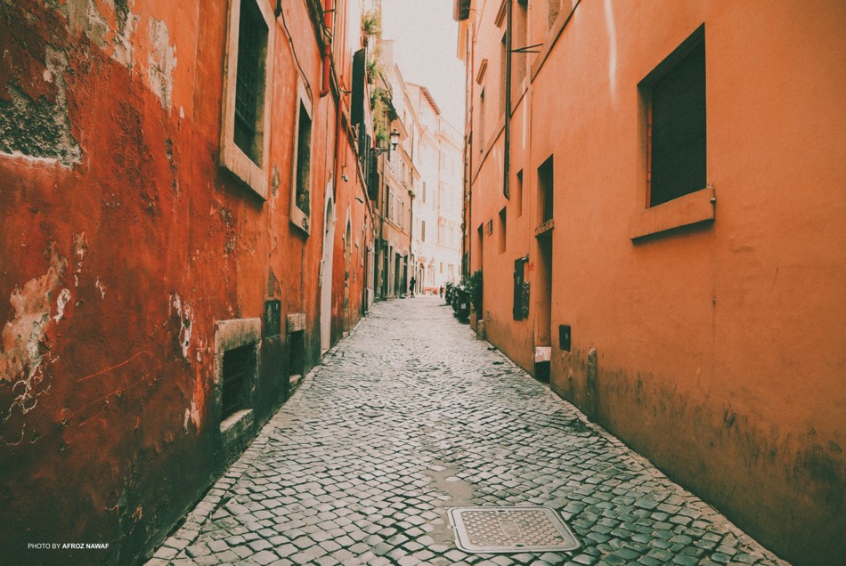 film emulation presets lightroom