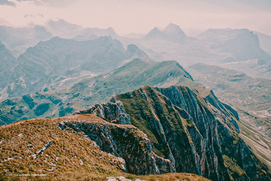 classic retro film looks presets lightroom