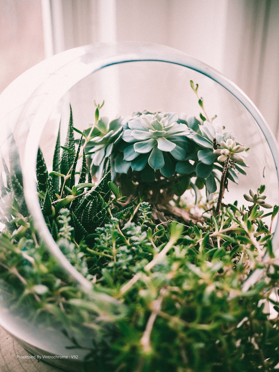 film presets lightroom